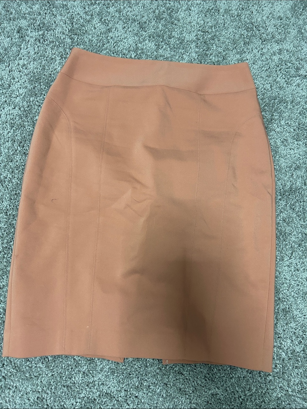 Express Rust Pencil Skirt